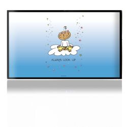 Folien für Spielekonsolen matt