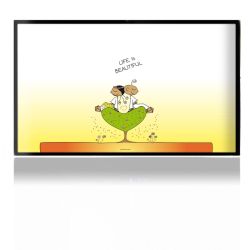 Folien für Spielekonsolen matt