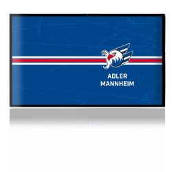 Folien für Spielekonsolen matt