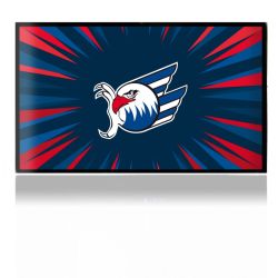 Folien für Spielekonsolen matt