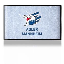 Folien für Spielekonsolen matt