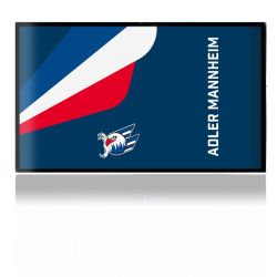 Folien für Spielekonsolen matt