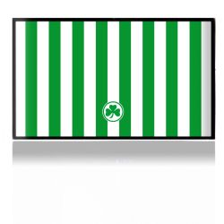 Folien für Spielekonsolen matt