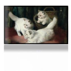 Foils for Consoles matt