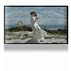 Foils for Consoles matt