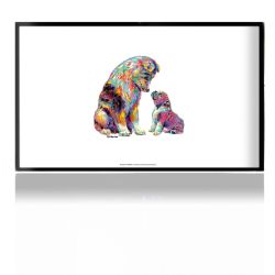 Foils for Consoles matt