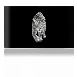 Foils for Consoles matt