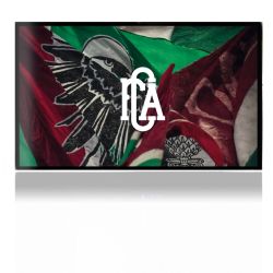 Folien für Spielekonsolen matt