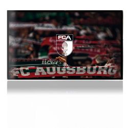 Folien für Spielekonsolen matt