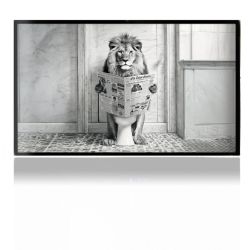 Foils for Consoles matt