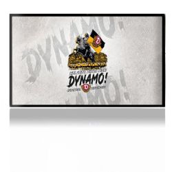 Folien für Spielekonsolen matt