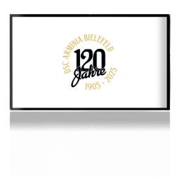 Folien für Spielekonsolen matt