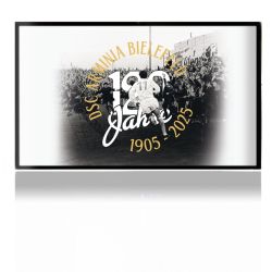 Folien für Spielekonsolen matt