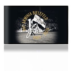 Folien für Spielekonsolen matt