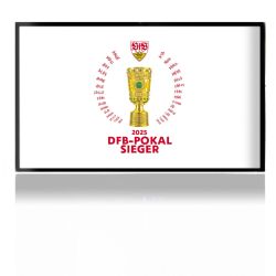 Folien für Spielekonsolen matt