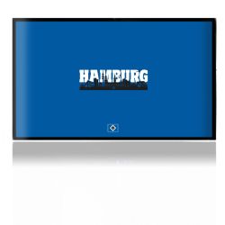 Folien für Spielekonsolen matt