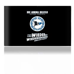 Folien für Spielekonsolen matt