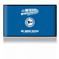 Folien für Spielekonsolen matt