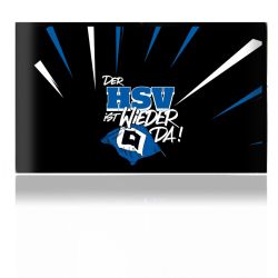 Folien für Spielekonsolen matt