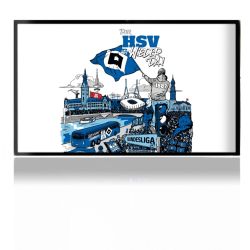 Folien für Spielekonsolen matt