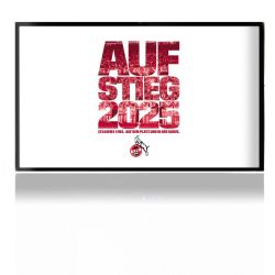 Folien für Spielekonsolen matt