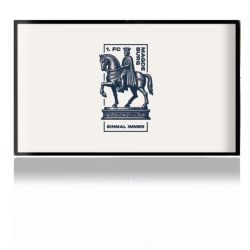 Folien für Spielekonsolen matt