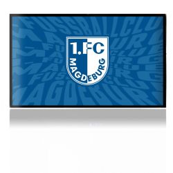 Folien für Spielekonsolen matt