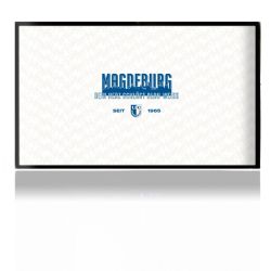 Folien für Spielekonsolen matt