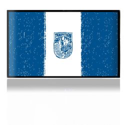 Folien für Spielekonsolen matt