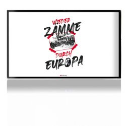 Folien für Spielekonsolen matt