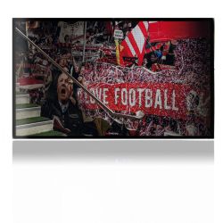 Folien für Spielekonsolen matt