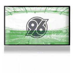 Folien für Spielekonsolen matt