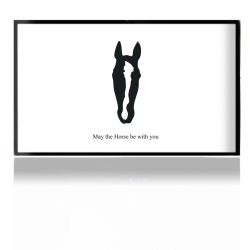 Foils for Consoles matt