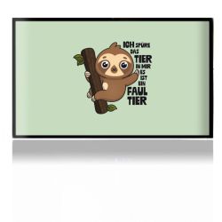 Folien für Spielekonsolen matt