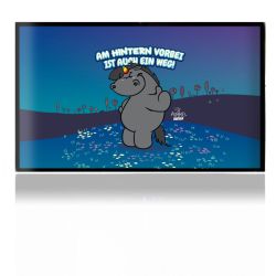 Folien für Spielekonsolen matt