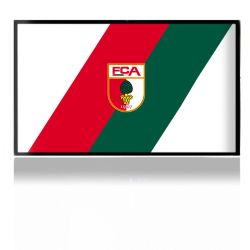 Folien für Spielekonsolen matt