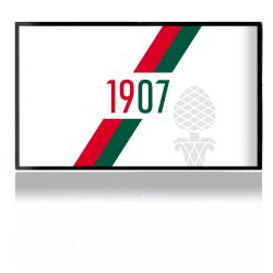 Folien für Spielekonsolen matt