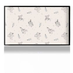 Folien für Spielekonsolen matt