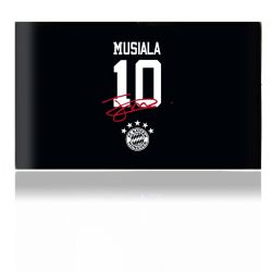 Foils for Consoles matt