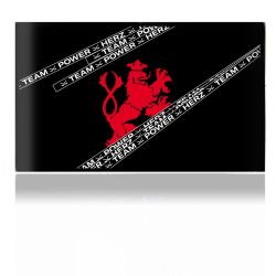 Folien für Spielekonsolen matt