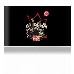 Folien für Spielekonsolen matt