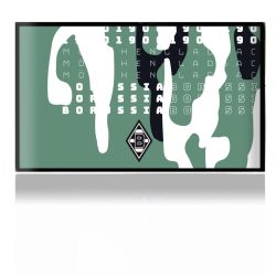 Folien für Spielekonsolen matt