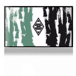 Folien für Spielekonsolen matt