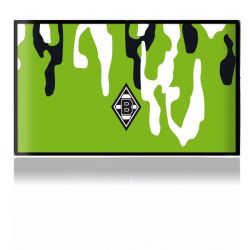 Folien für Spielekonsolen matt