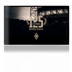 Folien für Spielekonsolen matt