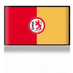 Folien für Spielekonsolen matt