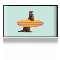 Foils for Consoles matt