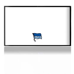 Folien für Spielekonsolen matt