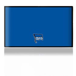 Folien für Spielekonsolen matt