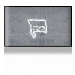 Folien für Spielekonsolen matt